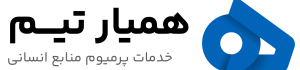 HamyarTeam Logo